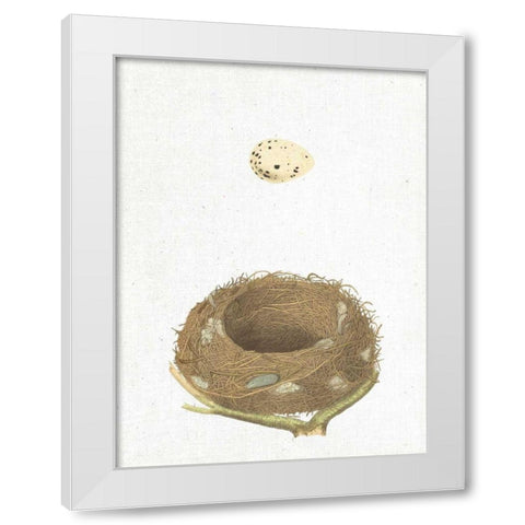Spring Nest III White Modern Wood Framed Art Print by Wild Apple Portfolio