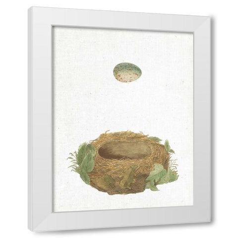 Spring Nest IV White Modern Wood Framed Art Print by Wild Apple Portfolio