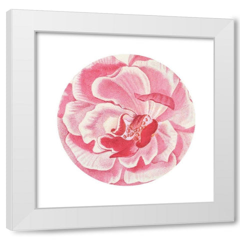 Rosa Circle White Modern Wood Framed Art Print by Wild Apple Portfolio