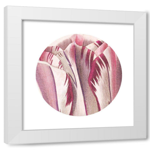 Tulips Circle White Modern Wood Framed Art Print by Wild Apple Portfolio