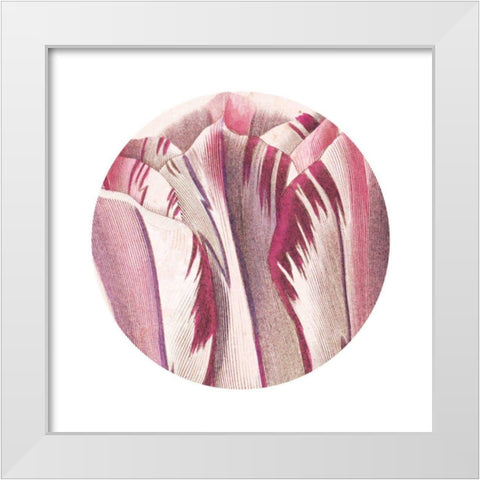 Tulips Circle White Modern Wood Framed Art Print by Wild Apple Portfolio