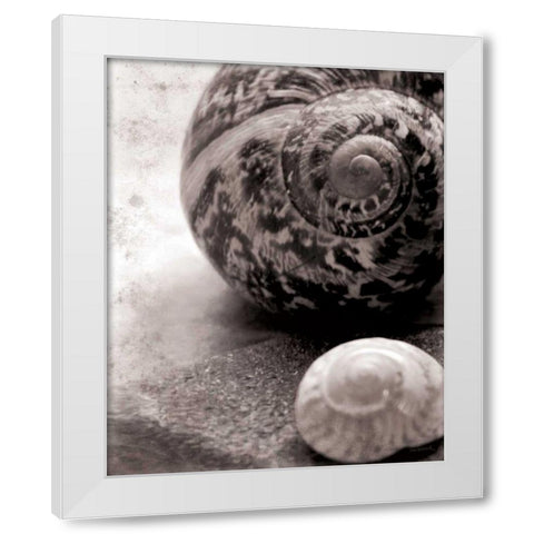 New Discoveries No Border White Modern Wood Framed Art Print by Schlabach, Sue