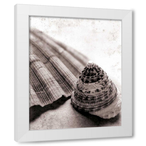 Gifts From the Sea No Border White Modern Wood Framed Art Print by Schlabach, Sue