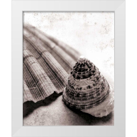 Gifts From the Sea No Border White Modern Wood Framed Art Print by Schlabach, Sue