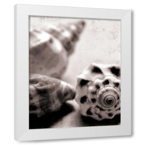 Beach Dreams Shells No Border White Modern Wood Framed Art Print by Schlabach, Sue