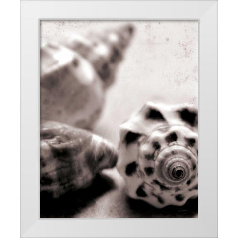 Beach Dreams Shells No Border White Modern Wood Framed Art Print by Schlabach, Sue