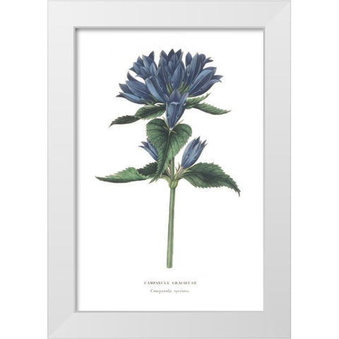Campanula Bright White Modern Wood Framed Art Print by Wild Apple Portfolio