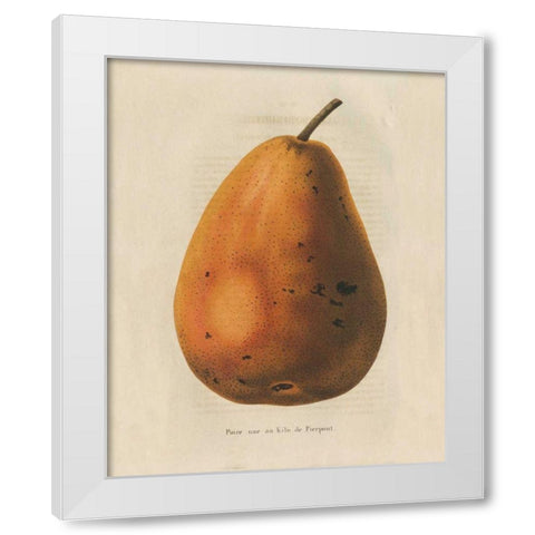 Pierpont v2 White Modern Wood Framed Art Print by Wild Apple Portfolio