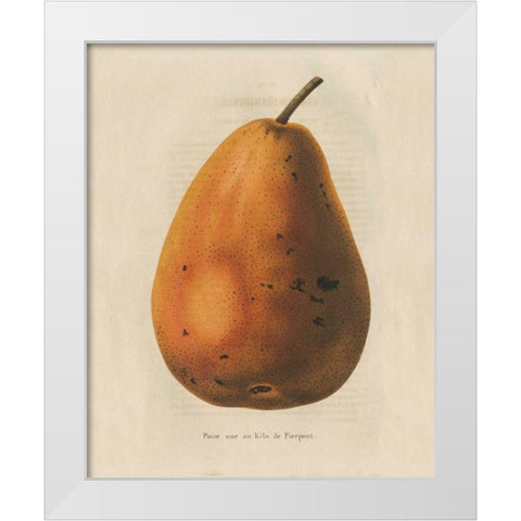 Pierpont v2 White Modern Wood Framed Art Print by Wild Apple Portfolio