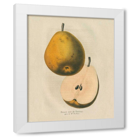 Tournay v2 White Modern Wood Framed Art Print by Wild Apple Portfolio