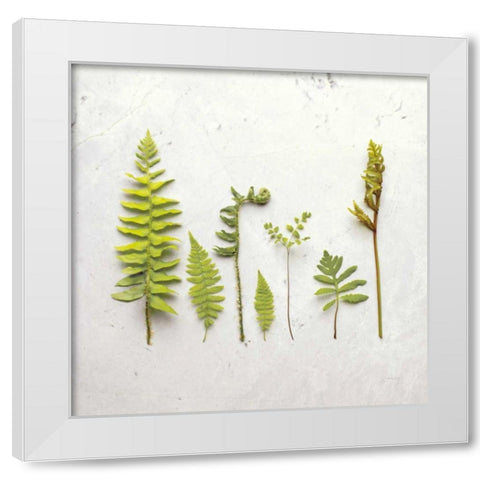Flat Lay Ferns III White Modern Wood Framed Art Print by Bradley, Felicity