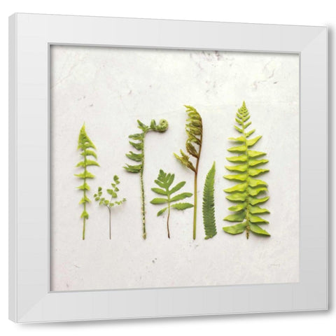 Flat Lay Ferns IV White Modern Wood Framed Art Print by Bradley, Felicity