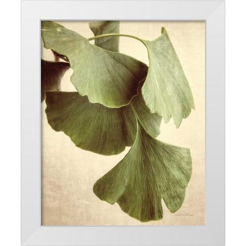 Gingko Color White Modern Wood Framed Art Print by Van Swearingen, Debra