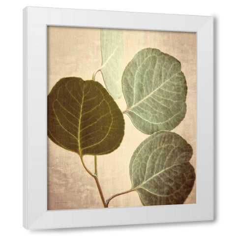 Eucalyptus Color White Modern Wood Framed Art Print by Van Swearingen, Debra