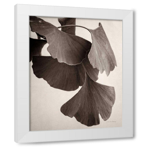 Gingko Sepia White Modern Wood Framed Art Print by Van Swearingen, Debra
