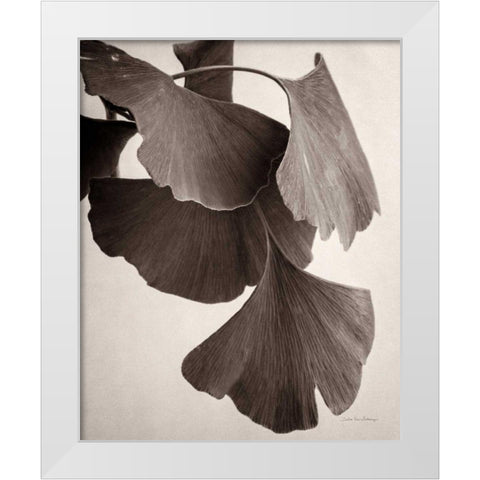 Gingko Sepia White Modern Wood Framed Art Print by Van Swearingen, Debra