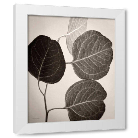 Eucalyptus Sepia White Modern Wood Framed Art Print by Van Swearingen, Debra