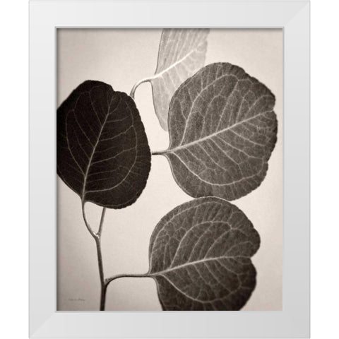 Eucalyptus Sepia White Modern Wood Framed Art Print by Van Swearingen, Debra