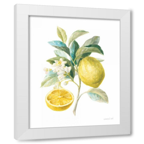 Floursack Lemon III on White White Modern Wood Framed Art Print by Nai, Danhui