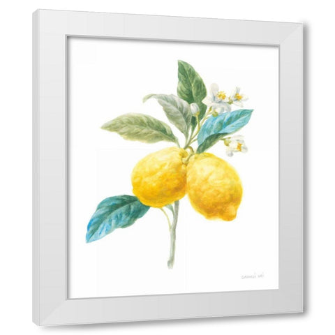 Floursack Lemon IV on White White Modern Wood Framed Art Print by Nai, Danhui