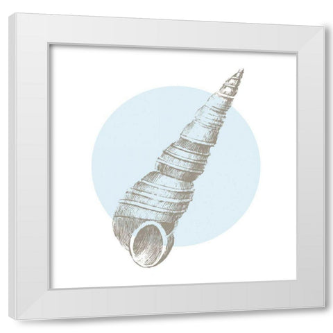 Conchology Sketches I White Modern Wood Framed Art Print by Wild Apple Portfolio