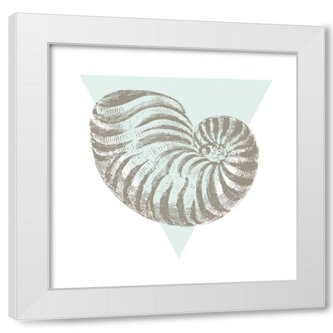 Conchology Sketches II White Modern Wood Framed Art Print by Wild Apple Portfolio