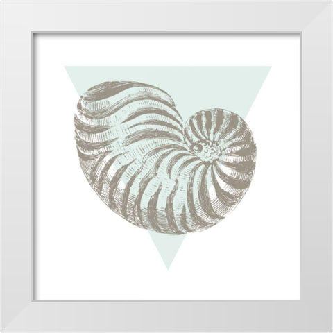 Conchology Sketches II White Modern Wood Framed Art Print by Wild Apple Portfolio
