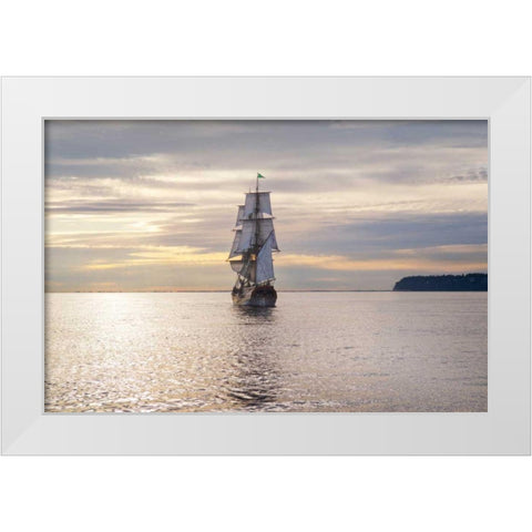 Lady Washington III White Modern Wood Framed Art Print by Majchrowicz, Alan