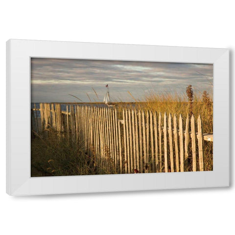Along the Fence I White Modern Wood Framed Art Print by Aledanda