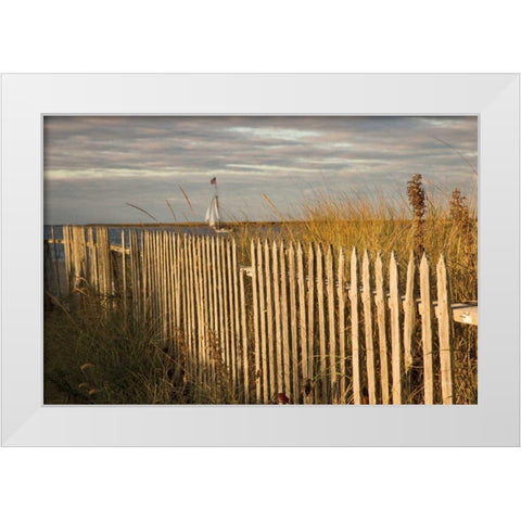 Along the Fence I White Modern Wood Framed Art Print by Aledanda