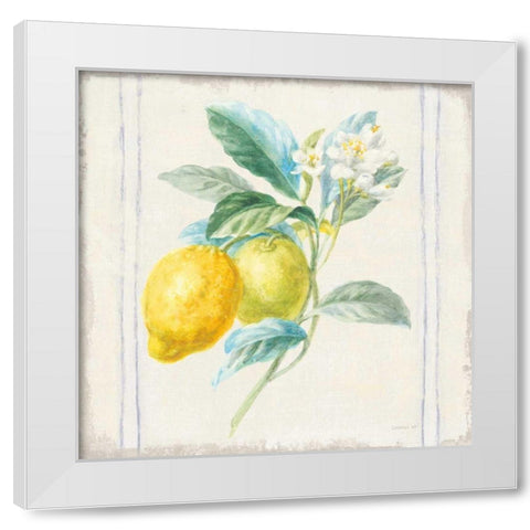 Floursack Lemons II Sq Navy White Modern Wood Framed Art Print by Nai, Danhui