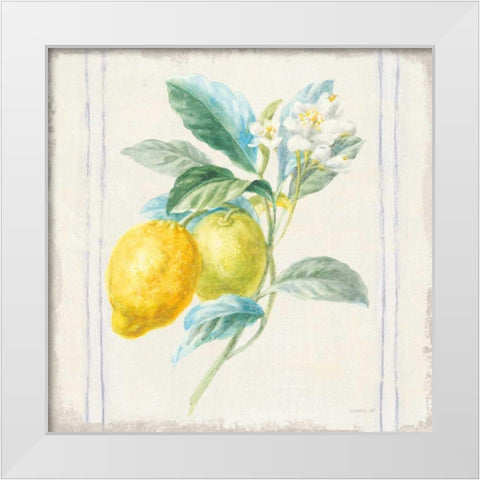 Floursack Lemons II Sq Navy White Modern Wood Framed Art Print by Nai, Danhui