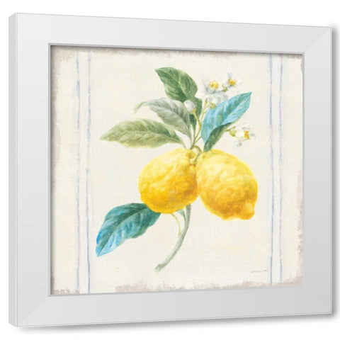 Floursack Lemons III Sq Navy White Modern Wood Framed Art Print by Nai, Danhui