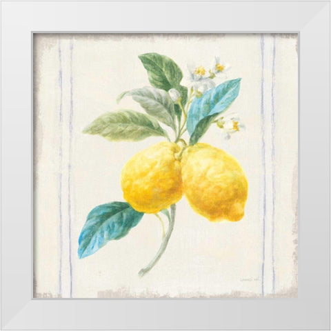 Floursack Lemons III Sq Navy White Modern Wood Framed Art Print by Nai, Danhui