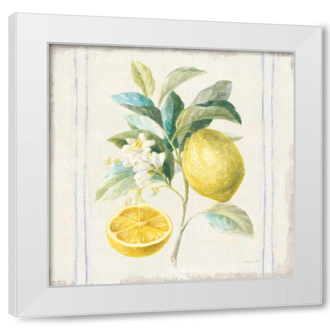 Floursack Lemons IV Sq Navy White Modern Wood Framed Art Print by Nai, Danhui