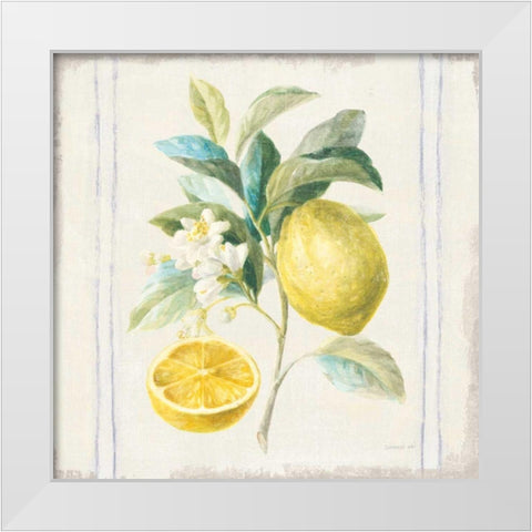 Floursack Lemons IV Sq Navy White Modern Wood Framed Art Print by Nai, Danhui