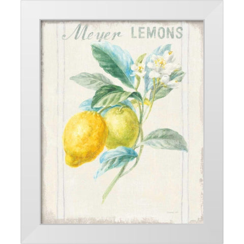 Floursack Lemon II v2 White Modern Wood Framed Art Print by Nai, Danhui