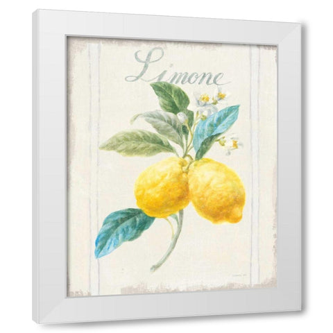 Floursack Lemon III v2 White Modern Wood Framed Art Print by Nai, Danhui