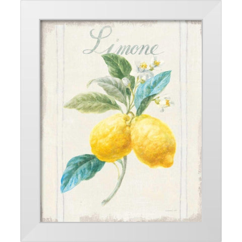 Floursack Lemon III v2 White Modern Wood Framed Art Print by Nai, Danhui