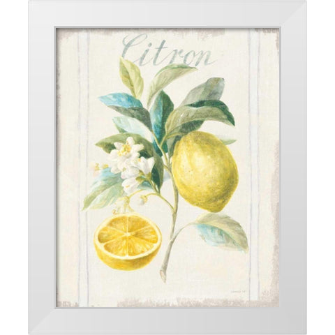 Floursack Lemon IV v2 White Modern Wood Framed Art Print by Nai, Danhui