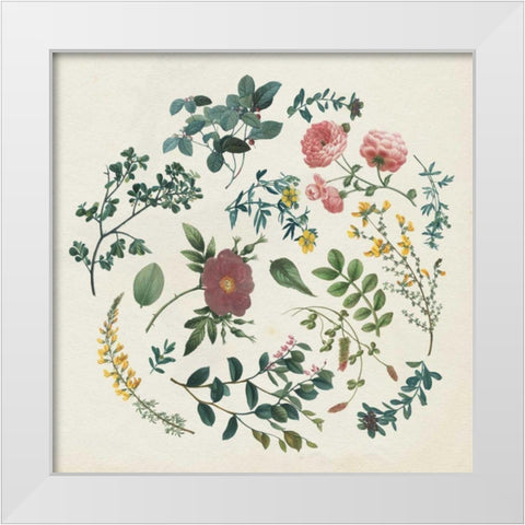 Victorian Garden II White Modern Wood Framed Art Print by Wild Apple Portfolio