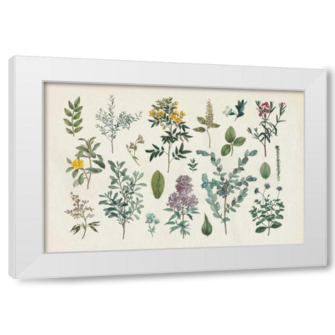 Victorian Garden IV White Modern Wood Framed Art Print by Wild Apple Portfolio