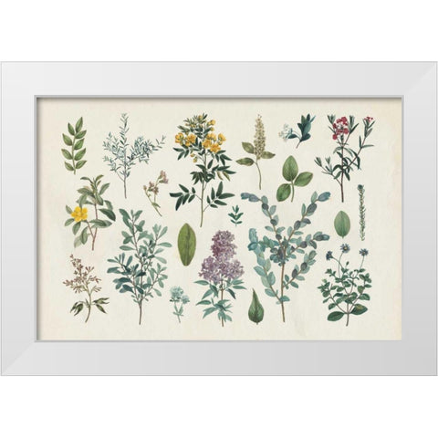 Victorian Garden IV White Modern Wood Framed Art Print by Wild Apple Portfolio