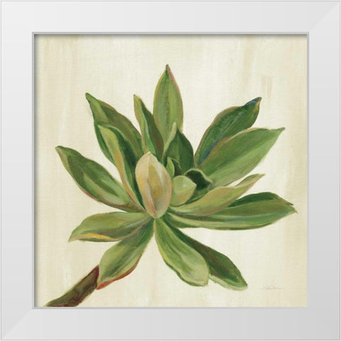Front Yard Succulent I White Modern Wood Framed Art Print by Vassileva, Silvia