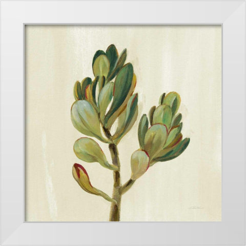Front Yard Succulent II White Modern Wood Framed Art Print by Vassileva, Silvia