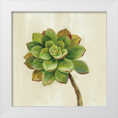 Front Yard Succulent IV White Modern Wood Framed Art Print by Vassileva, Silvia