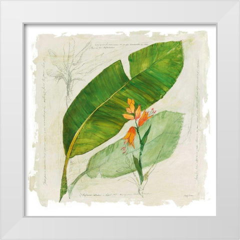 Botanical Study I Light White Modern Wood Framed Art Print by Tillmon, Avery