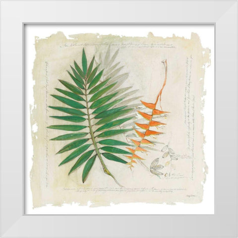 Botanical Study II Light White Modern Wood Framed Art Print by Tillmon, Avery