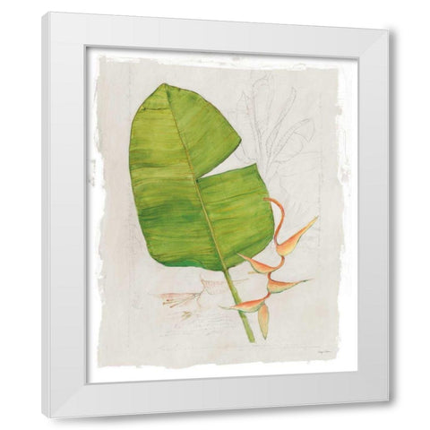 Botanical Journal I Light White Modern Wood Framed Art Print by Tillmon, Avery