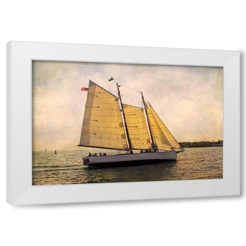 Morning Sail White Modern Wood Framed Art Print by Van Swearingen, Debra